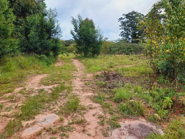 Chimanimani Stand For Sale 