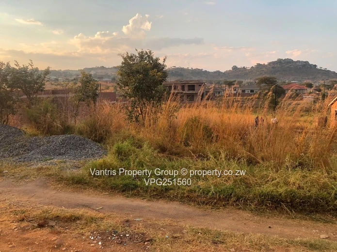 Palm village stands for sale !!!!