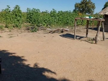 Farm & Agricultural Land