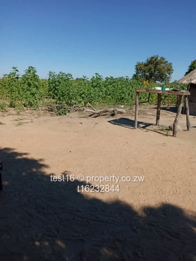 3750 hac in Nyamandhlovu 