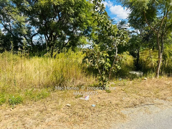Prime 6.3091 hectares Land for Sale – Along Tarisa Road, Springvale, Ruwa  (Sole Mandate)