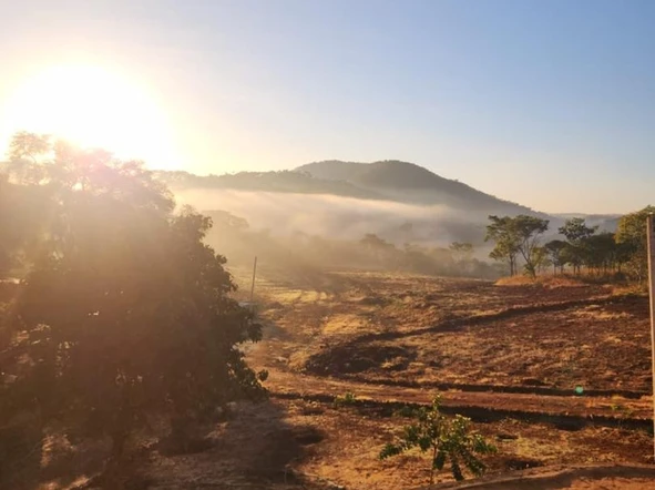 Farm & Agricultural Land