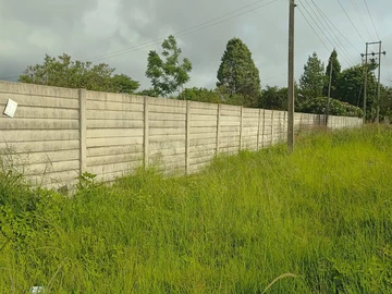 Stands & Residential Land