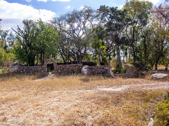 Farm & Agricultural Land