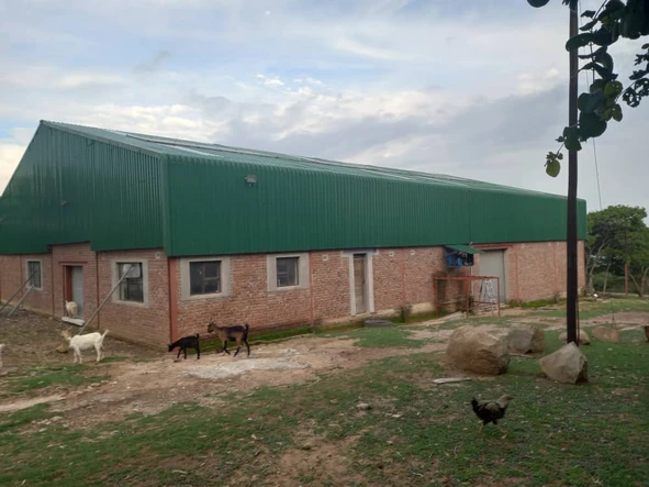 Farm & Agricultural Land