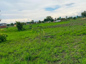 Farm & Agricultural Land