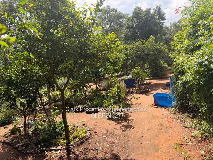 Excellent Investment 