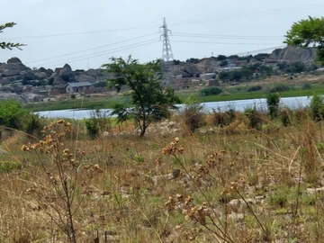 Farm & Agricultural Land