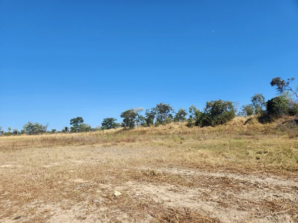 Farm & Agricultural Land