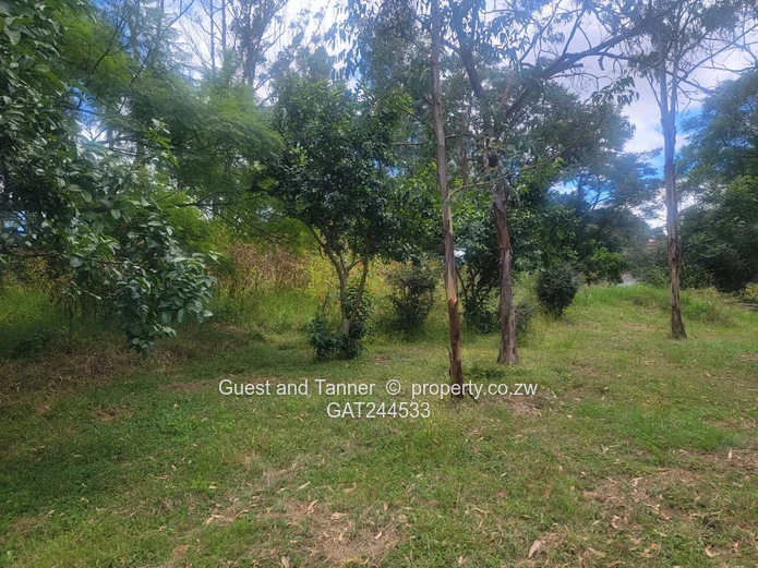 A Choice Of Two Properties For Sale In Colne Valley 