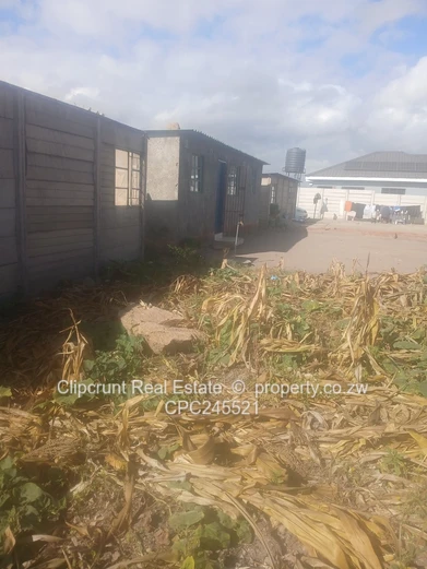 Glenview1 stand forsale