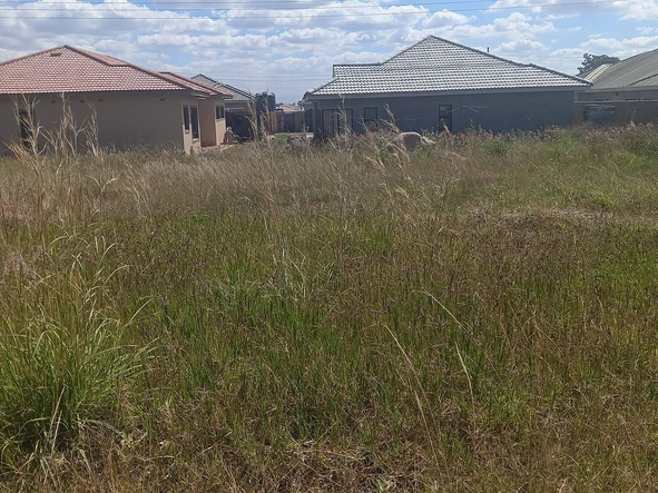 Stands & Residential Land