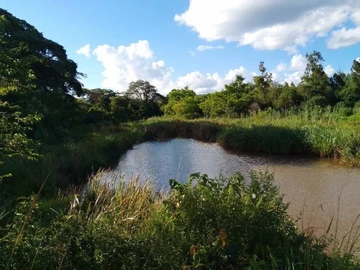 Farm & Agricultural Land