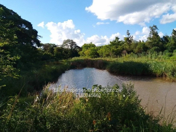 Prime 56-Hectare Farm for Sale in Chipangayi (Near Chipinge)