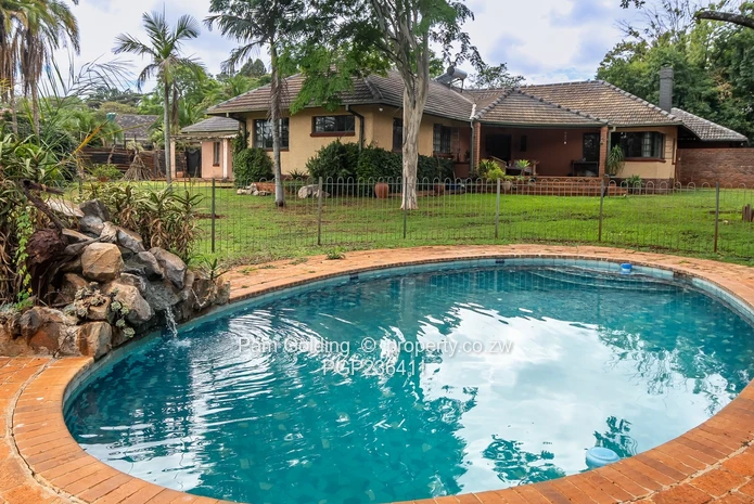 Golden Oldie Great Potential  (Sole Mandate)