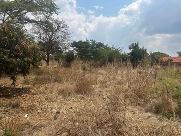 Stands & Residential Land