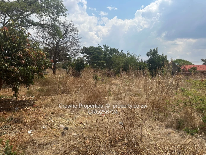 Residential Stand For Sale