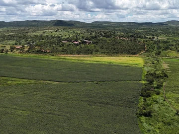 Farm & Agricultural Land