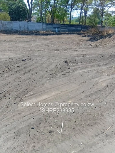 Quinington Stand For Sale