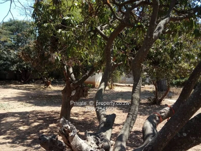 Redcliff Kwekwe House for sale (Sole Mandate)