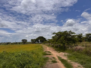 Farm & Agricultural Land
