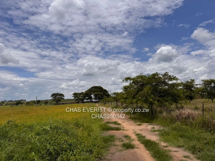 Kintyre Estate Plot For Sale
