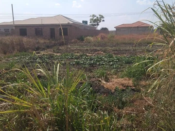 Stands & Residential Land