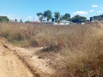 Commercial & Industrial Land