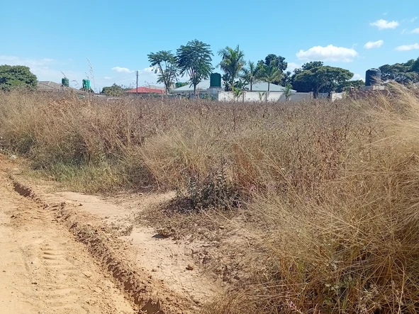 Commercial & Industrial Land