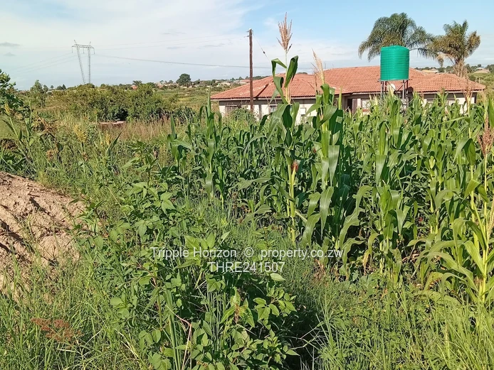 590m² Sewered Stand with Main Road Frontage, Damofalls