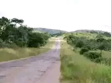Farm & Agricultural Land
