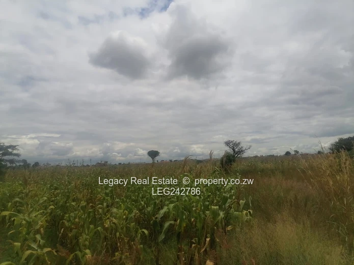 Hot Property Alert: Rydale Ridge Stand for Sale