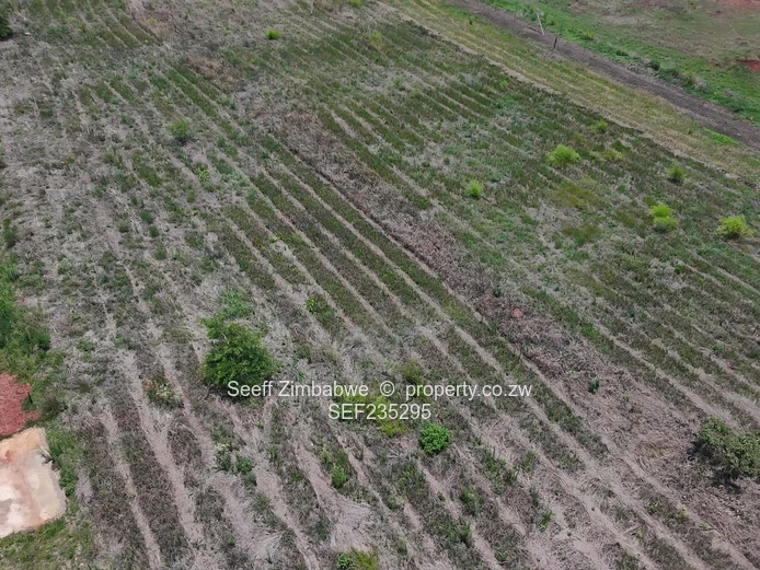 Ready to build stand for sale In Borrowdale Brook