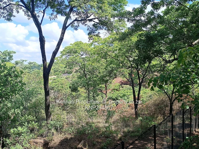  Prime 5,680sqm Stand with Exceptional Views