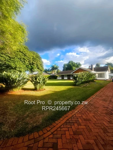 Alexandra Park Commercial/ Residential Property to Let