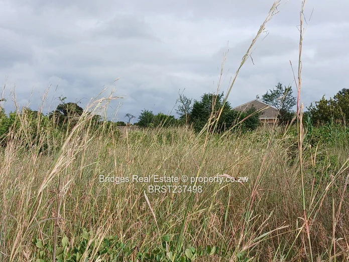 Fast establishing suburb in Gweru North! (Sole Mandate)