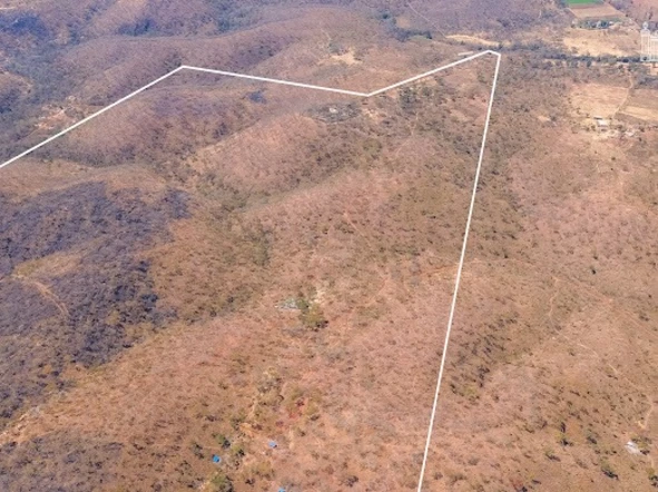 Farm & Agricultural Land