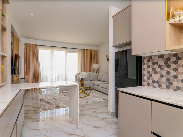Flat & Apartment
