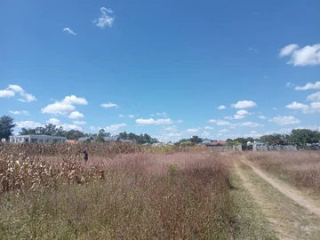 Land