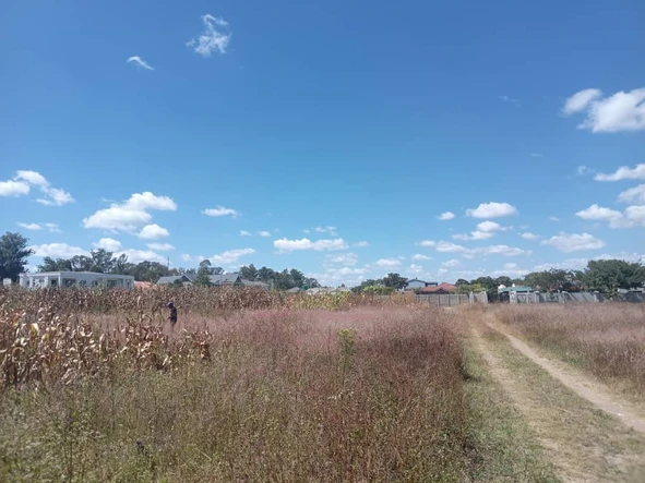 Land