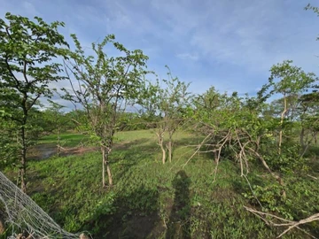 Farm & Agricultural Land