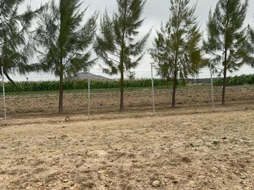 Farm & Agricultural Land