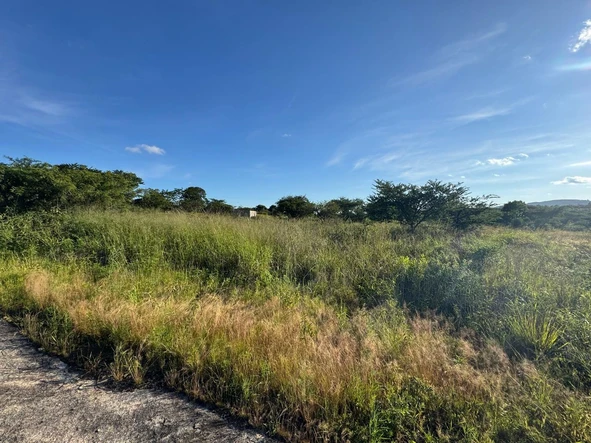 Commercial & Industrial Land