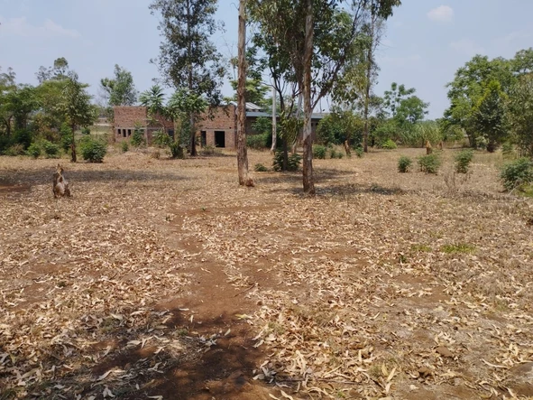 Commercial & Industrial Land