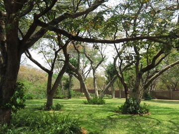 4 Bedroom Townhouse Complex