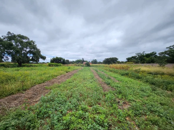 6150 Sqm Land in Trenance