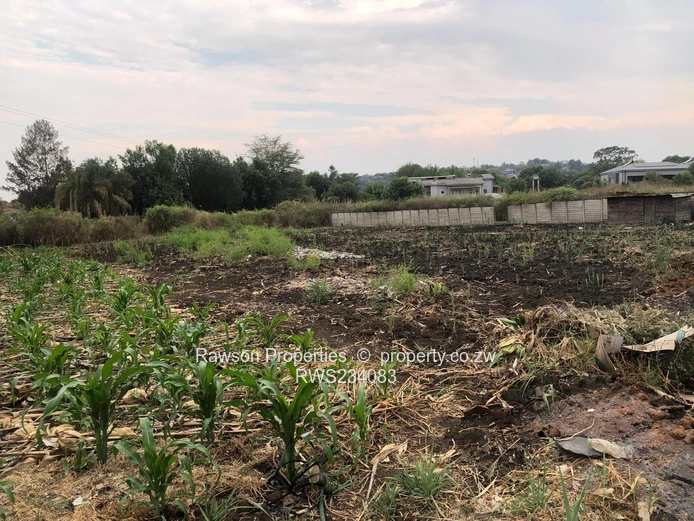 Excellent Opportunity 