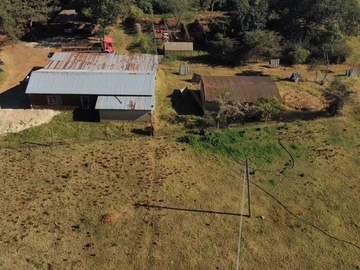 Farm & Agricultural Land