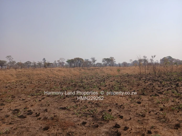 Norton Mwashuma Park  (Knockmallock) Stand for sale!!