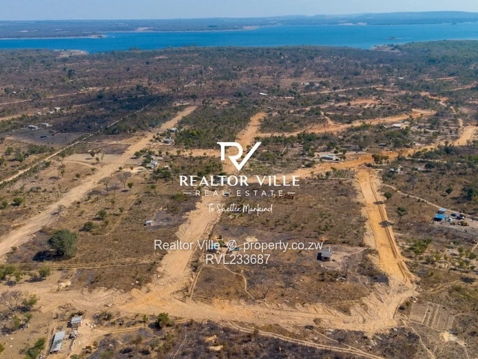 Lake City Stands For Sale  (Sole Mandate)